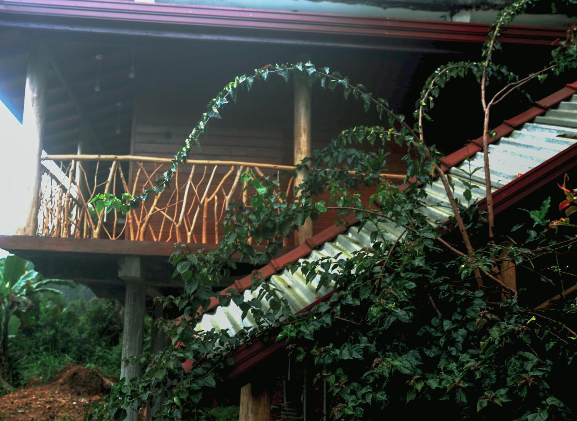 The Dream Inn เอลลา ภายนอก รูปภาพ